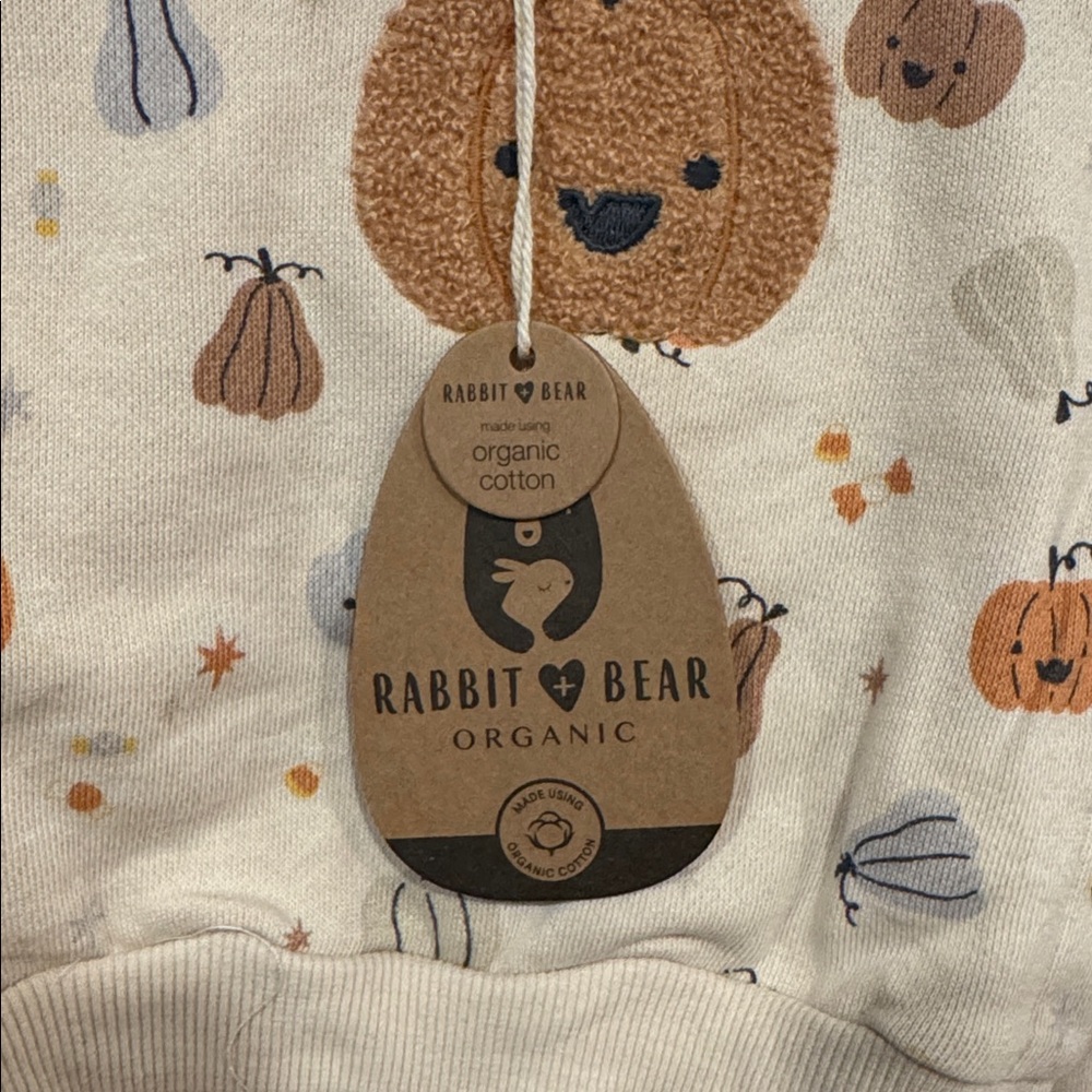 Pumpkin Print Baby Outfit by new fall baby 3-6 months outfit - Picture 4 of 6